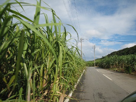 b0137530_2330662.jpg