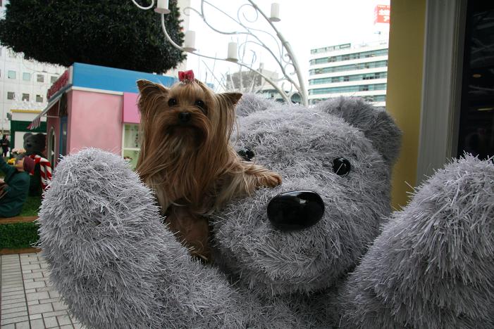 f0124830_0402188.jpg