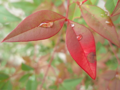 f0132230_0334361.jpg