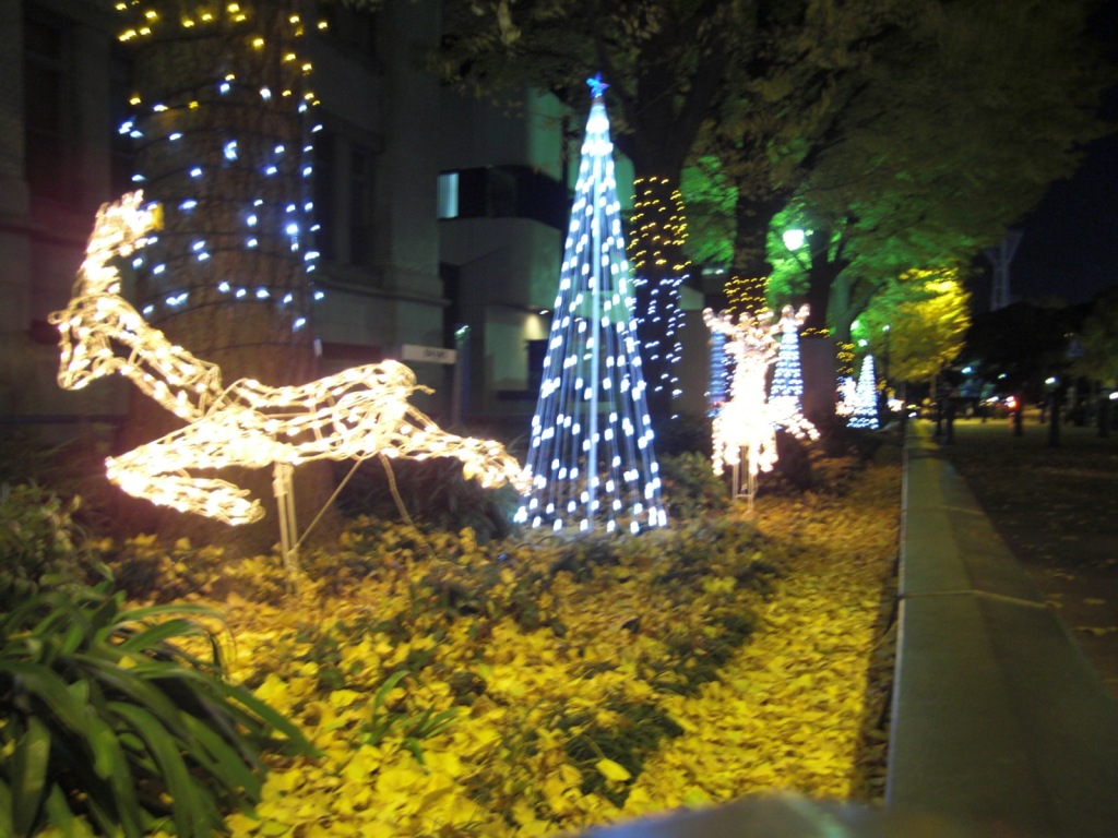c0078032_045065.jpg