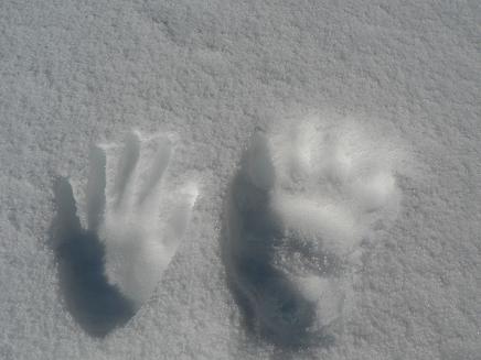 f0118332_0164577.jpg