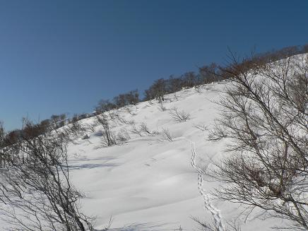 f0118332_0375985.jpg