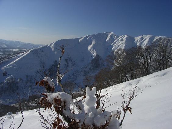 f0118332_0393662.jpg