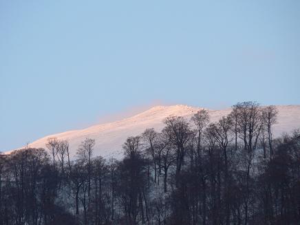 f0118332_055471.jpg
