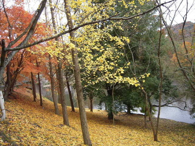 b0025633_22333021.jpg