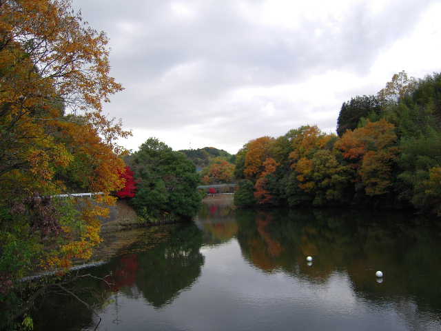 b0025633_22334573.jpg