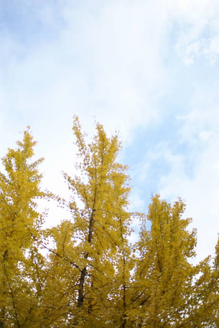 b0117437_12152813.jpg