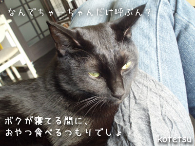 c0132438_22334799.jpg