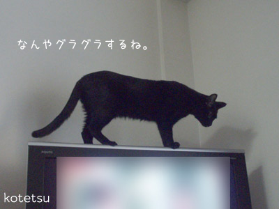 c0132438_22431260.jpg
