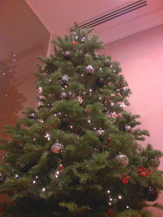 b0137240_1583858.jpg
