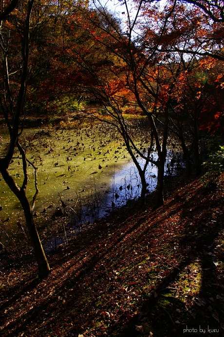 c0136440_22495368.jpg