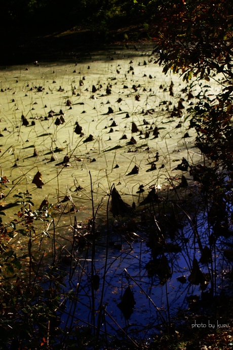 c0136440_22501211.jpg