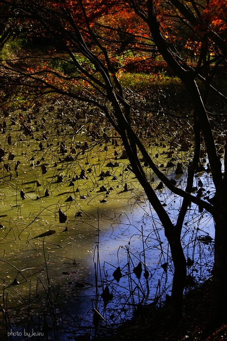c0136440_22503559.jpg