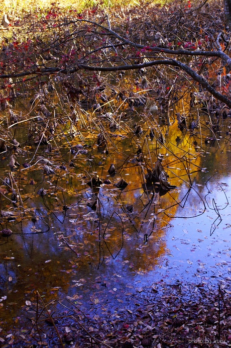 c0136440_2253115.jpg