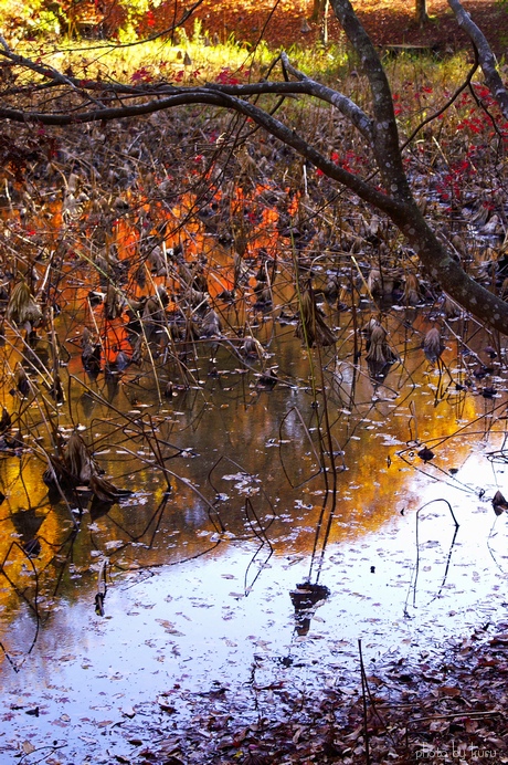 c0136440_2254349.jpg