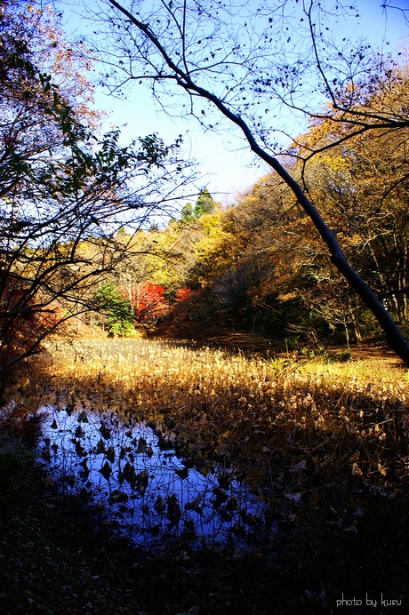 c0136440_22545020.jpg