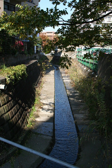 f0174244_11573337.jpg