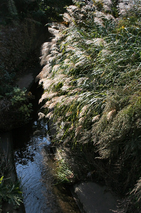 f0174244_11575682.jpg