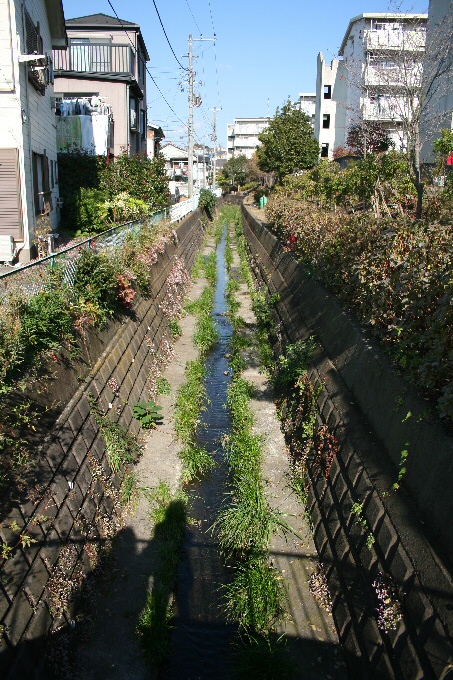 f0174244_11583680.jpg