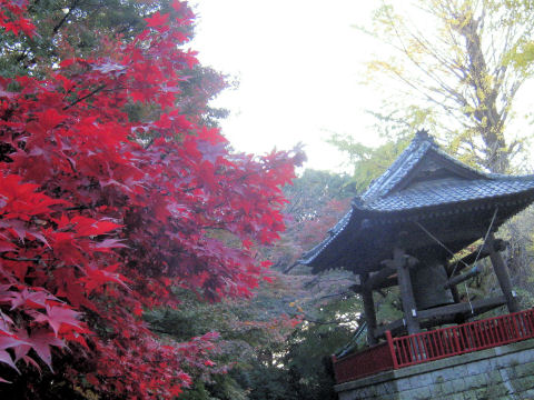 c0033145_2154581.jpg