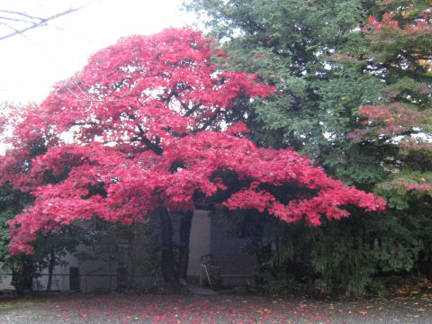 c0033145_2164038.jpg