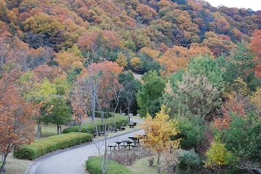 e0126046_1245128.jpg