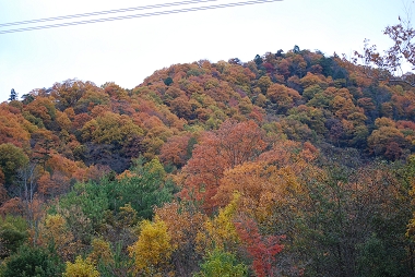 e0126046_1251830.jpg