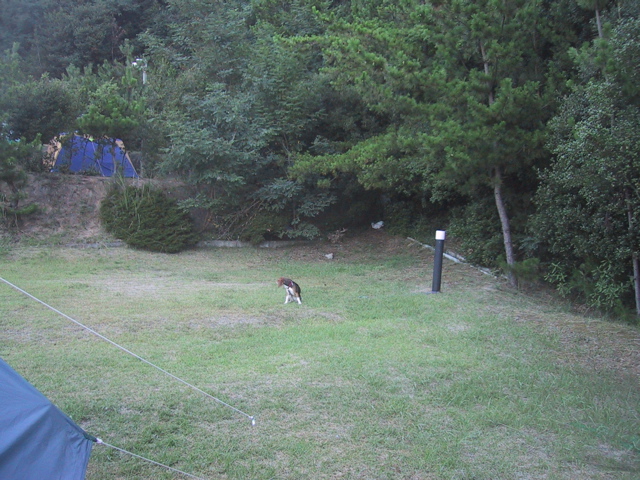 f0046250_7573090.jpg
