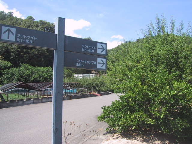 f0046250_813245.jpg