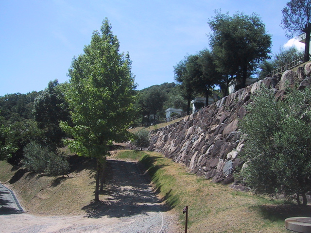 f0046250_8134718.jpg