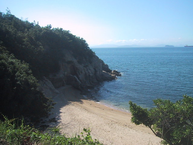 f0046250_815715.jpg