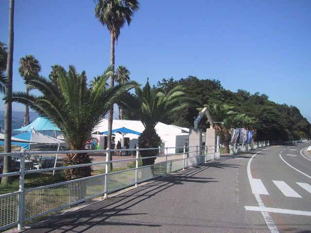 f0046250_82228.jpg