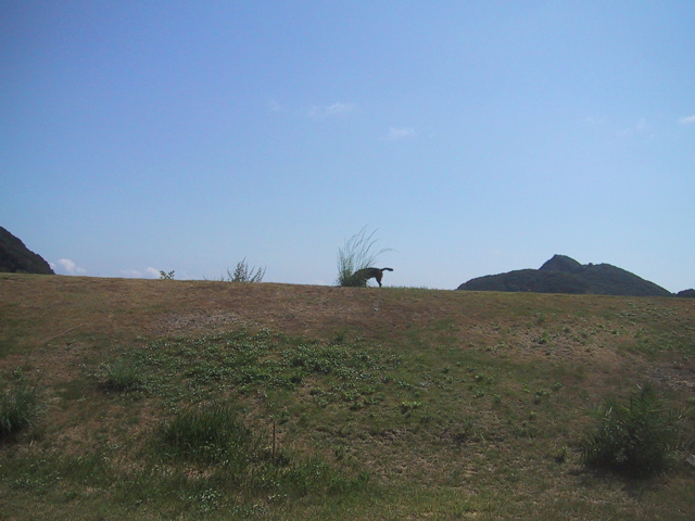 f0046250_885490.jpg