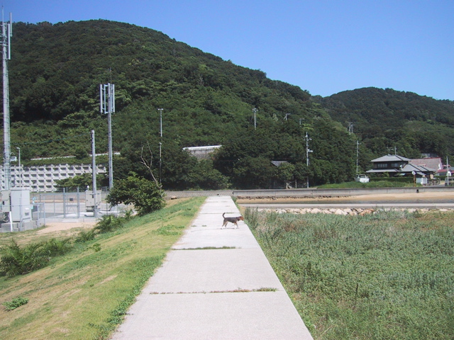 f0046250_892095.jpg