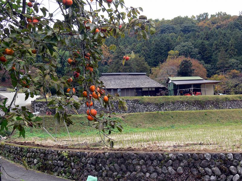 c0059854_1816456.jpg