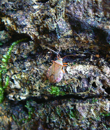 d0091754_027158.jpg