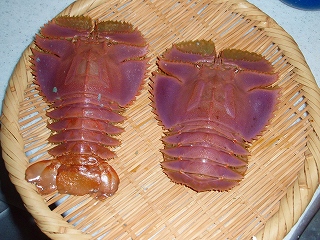 e0004756_20493355.jpg