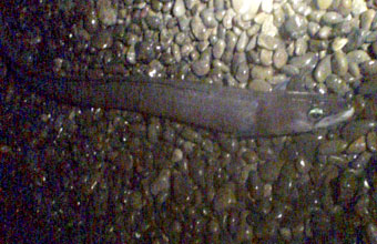 d0058958_0291194.jpg