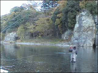 f0084561_1355289.gif