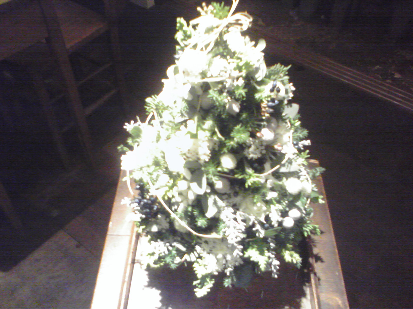 d0084765_1172775.jpg