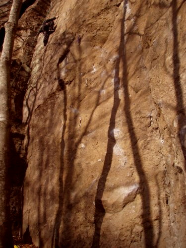 b0050067_151252.jpg