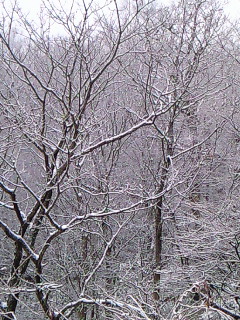 b0059167_011032.jpg