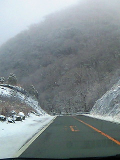 b0059167_014522.jpg