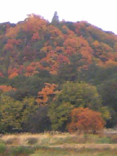 f0061067_20202636.jpg