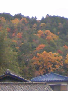 f0061067_20202671.jpg