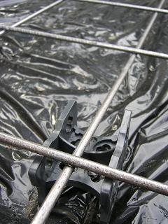 b0073970_2041655.jpg