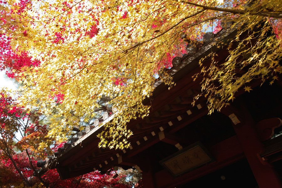 b0084270_0261139.jpg