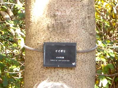 e0097770_23182649.jpg