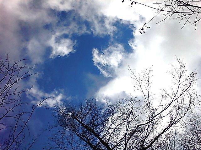 c0082573_1141251.jpg
