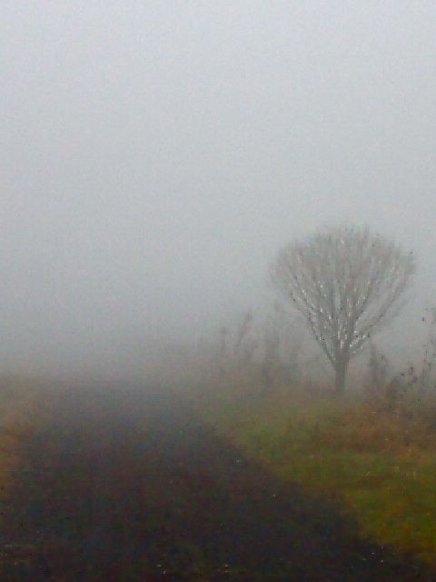 c0082573_1153464.jpg